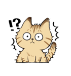 キジトラとハチワレ（個別スタンプ：9）