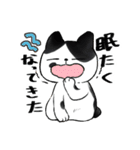 キジトラとハチワレ（個別スタンプ：10）