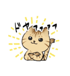 キジトラとハチワレ（個別スタンプ：11）