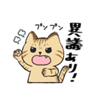 キジトラとハチワレ（個別スタンプ：15）