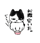 キジトラとハチワレ（個別スタンプ：17）
