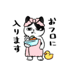 キジトラとハチワレ（個別スタンプ：20）