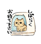 キジトラとハチワレ（個別スタンプ：21）