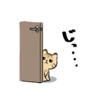 キジトラとハチワレ（個別スタンプ：22）