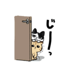 キジトラとハチワレ（個別スタンプ：23）