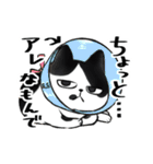 キジトラとハチワレ（個別スタンプ：25）