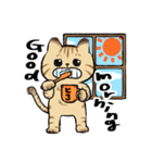 キジトラとハチワレ（個別スタンプ：31）