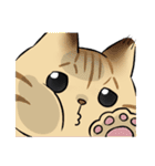 キジトラとハチワレ（個別スタンプ：39）