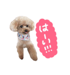 松本家のアイドルふーちゃん❤︎（個別スタンプ：2）