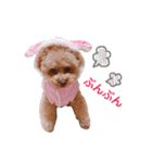 松本家のアイドルふーちゃん❤︎（個別スタンプ：4）