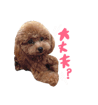 松本家のアイドルふーちゃん❤︎（個別スタンプ：17）