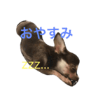 テンコのひとこと（個別スタンプ：8）