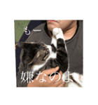 あたりめとテン（個別スタンプ：8）
