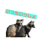 確かに言ってそうな動物たち（個別スタンプ：3）