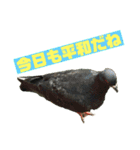 確かに言ってそうな動物たち（個別スタンプ：15）