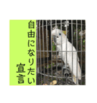 確かに言ってそうな動物たち（個別スタンプ：24）