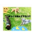 #うちのdogs（個別スタンプ：2）