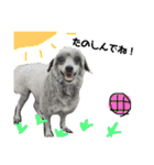 #うちのdogs（個別スタンプ：3）