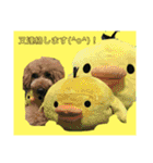 #うちのdogs（個別スタンプ：4）