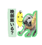 #うちのdogs（個別スタンプ：5）