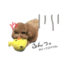 #うちのdogs（個別スタンプ：9）
