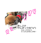 #うちのdogs（個別スタンプ：10）