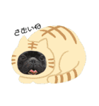 #うちのdogs（個別スタンプ：13）