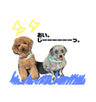 #うちのdogs（個別スタンプ：16）