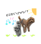#うちのdogs（個別スタンプ：17）