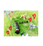#うちのdogs（個別スタンプ：18）