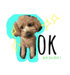 #うちのdogs（個別スタンプ：28）