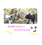 #うちのdogs（個別スタンプ：30）