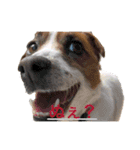 ジャックのれおくん（個別スタンプ：7）