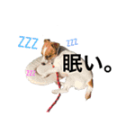 ジャックのれおくん（個別スタンプ：11）