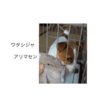 ジャックのれおくん（個別スタンプ：12）