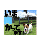 ジャックのれおくん（個別スタンプ：13）