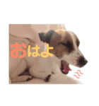 ジャックのれおくん（個別スタンプ：20）