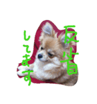 リオンで行こう！（個別スタンプ：7）
