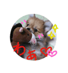 リオンで行こう！（個別スタンプ：10）