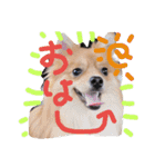 リオンで行こう！（個別スタンプ：13）