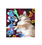 リオンで行こう！（個別スタンプ：14）