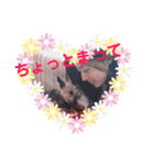 はなだあやか（個別スタンプ：17）