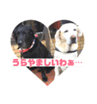 黒ラブ❤️エビス＆琥珀の手作りスタンプ！（個別スタンプ：15）