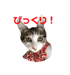 こてつとらいぞう（個別スタンプ：10）