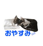 こてつとらいぞう（個別スタンプ：11）