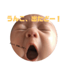 六角2（個別スタンプ：1）
