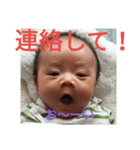 六角2（個別スタンプ：11）