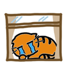 バナナ、ウィンドウの猫（個別スタンプ：12）