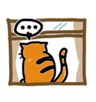 バナナ、ウィンドウの猫（個別スタンプ：16）