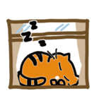 バナナ、ウィンドウの猫（個別スタンプ：27）